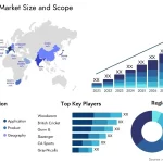 The Rise of Cricket Viewership Statistics A Closer Look at the Impact of Technology and Globalization