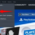 How to Fix a Steam Verifying Login Information Error